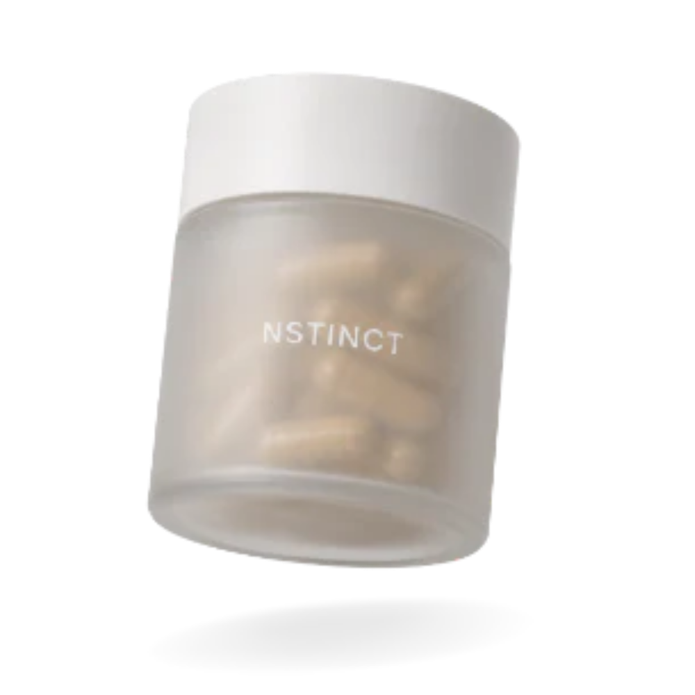 Rainforest | Daily Probiotic Blend